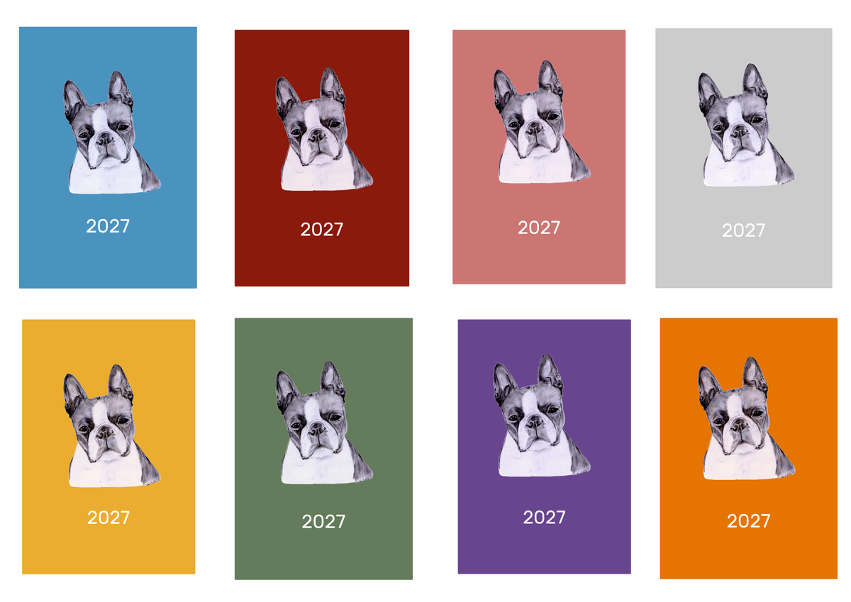 Boston Terrier Week Per View 2027 Diary: A4, A5 or A6, Dog Show, Normal or Appointment