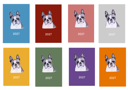 Boston Terrier Week Per View 2027 Diary: A4, A5 or A6, Dog Show, Normal or Appointment