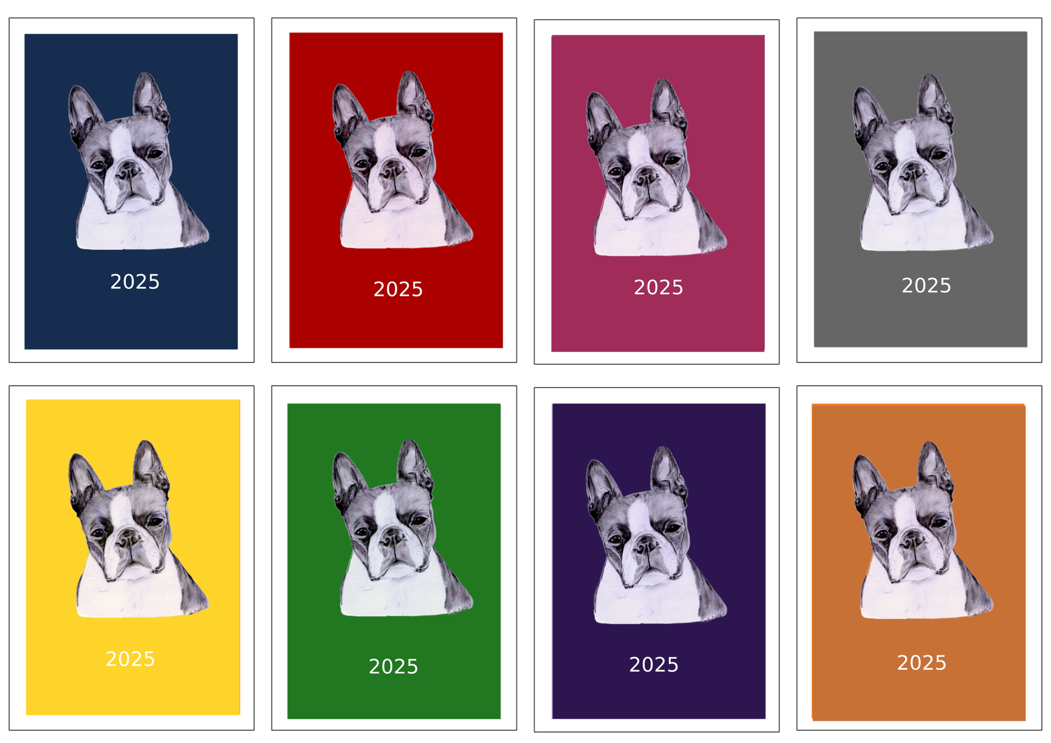 Boston Terrier Week Per View Diary: A4, A5 or A6, Dog Show, Normal or Appointment