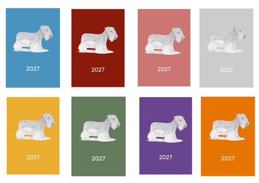 Cesky Terrier Week Per View 2027 Diary: A4, A5 or A6, Dog Show, Normal or Appointment