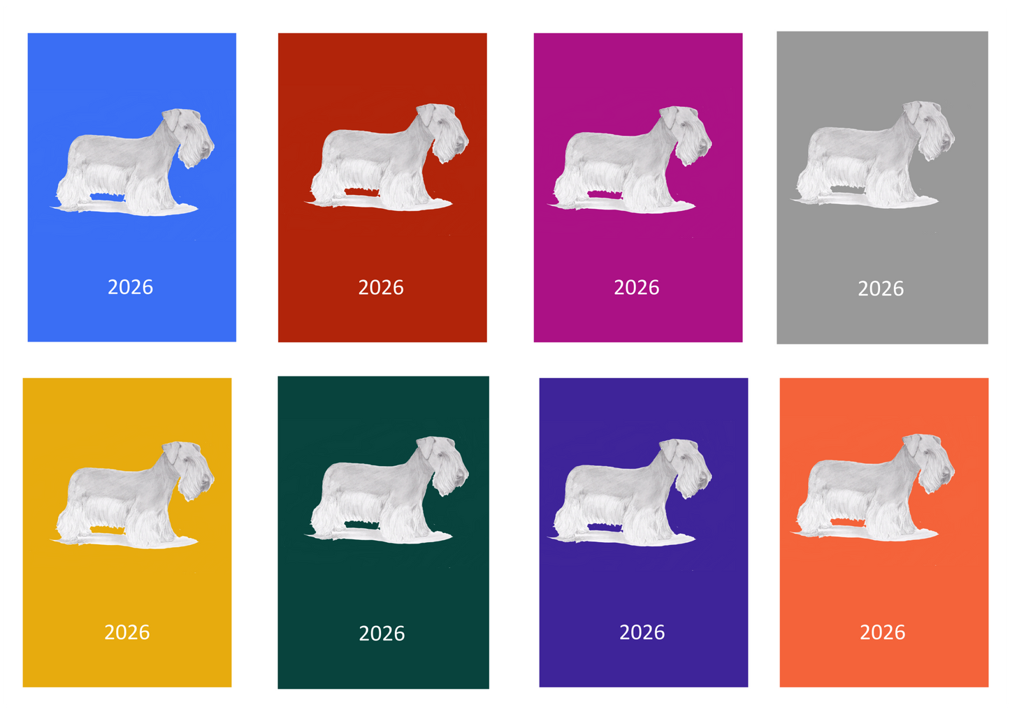 Cesky Terrier Week Per View 2026 Diary: A4, A5 or A6, Dog Show, Normal or Appointment
