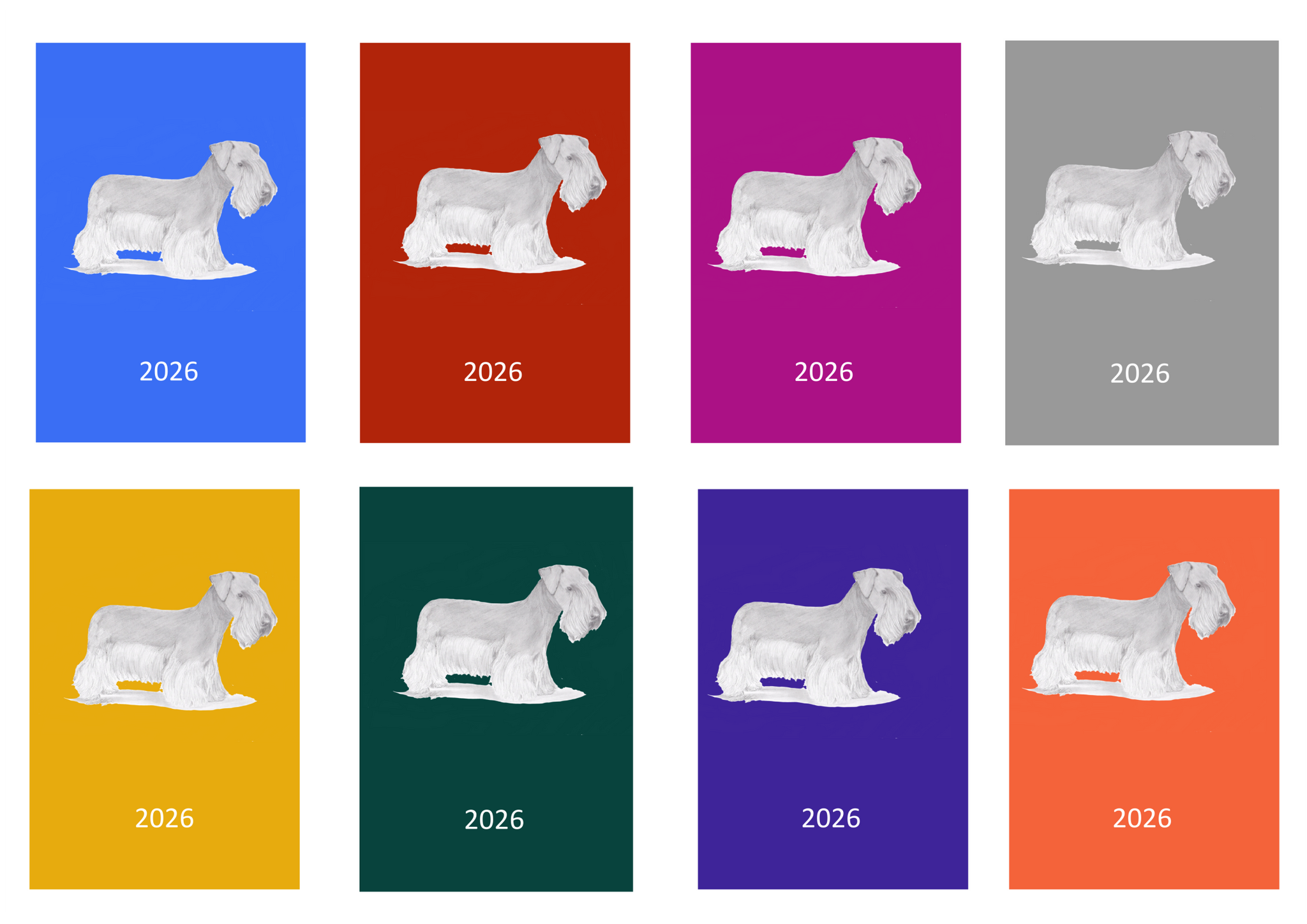 Cesky Terrier Week Per View 2026 Diary: A4, A5 or A6, Dog Show, Normal or Appointment
