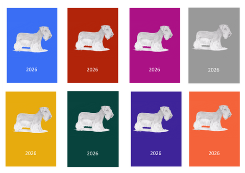 Cesky Terrier Week Per View 2026 Diary: A4, A5 or A6, Dog Show, Normal or Appointment