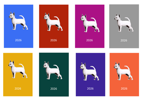 S/C Chihuahua Week Per View 2026 Diary: A4, A5 or A6, Dog Show, Normal or Appointment
