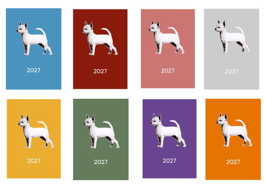 S/C Chihuahua Week Per View 2027 Diary: A4, A5 or A6, Dog Show, Normal or Appointment