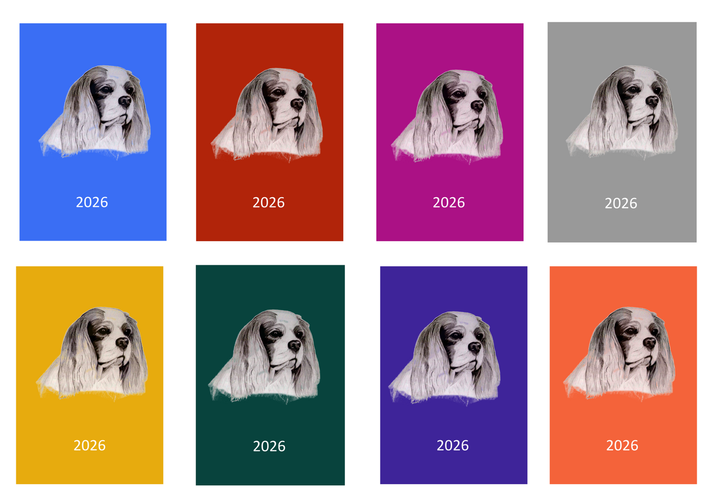 Cavalier King Charles Spaniel Week Per View 2026 Diary: A4, A5 or A6, Dog Show, Normal or Appointment