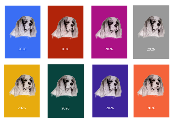 Cavalier King Charles Spaniel Week Per View 2026 Diary: A4, A5 or A6, Dog Show, Normal or Appointment