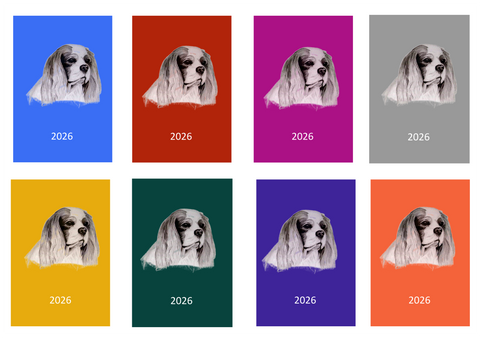 Cavalier King Charles Spaniel Week Per View 2026 Diary: A4, A5 or A6, Dog Show, Normal or Appointment