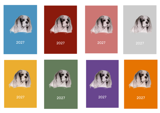Cavalier King Charles Spaniel Week Per View 2027 Diary: A4, A5 or A6, Dog Show, Normal or Appointment
