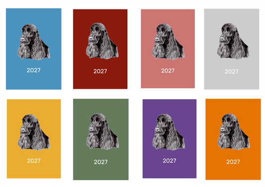 Cocker Spaniel Week Per View 2027 Diary: A4, A5 or A6, Dog Show, Normal or Appointment