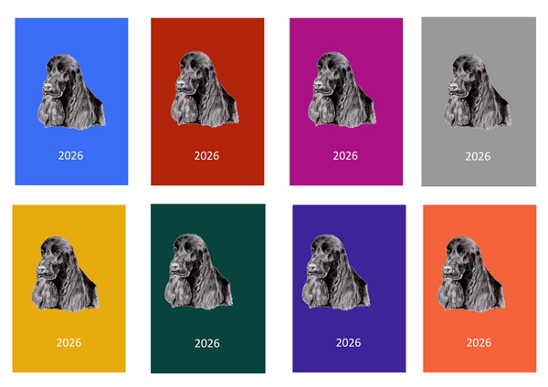 Cocker Spaniel Week Per View 2026 Diary: A4, A5 or A6, Dog Show, Normal or Appointment