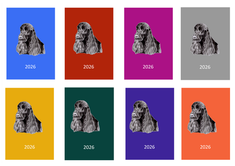 Cocker Spaniel Week Per View 2026 Diary: A4, A5 or A6, Dog Show, Normal or Appointment