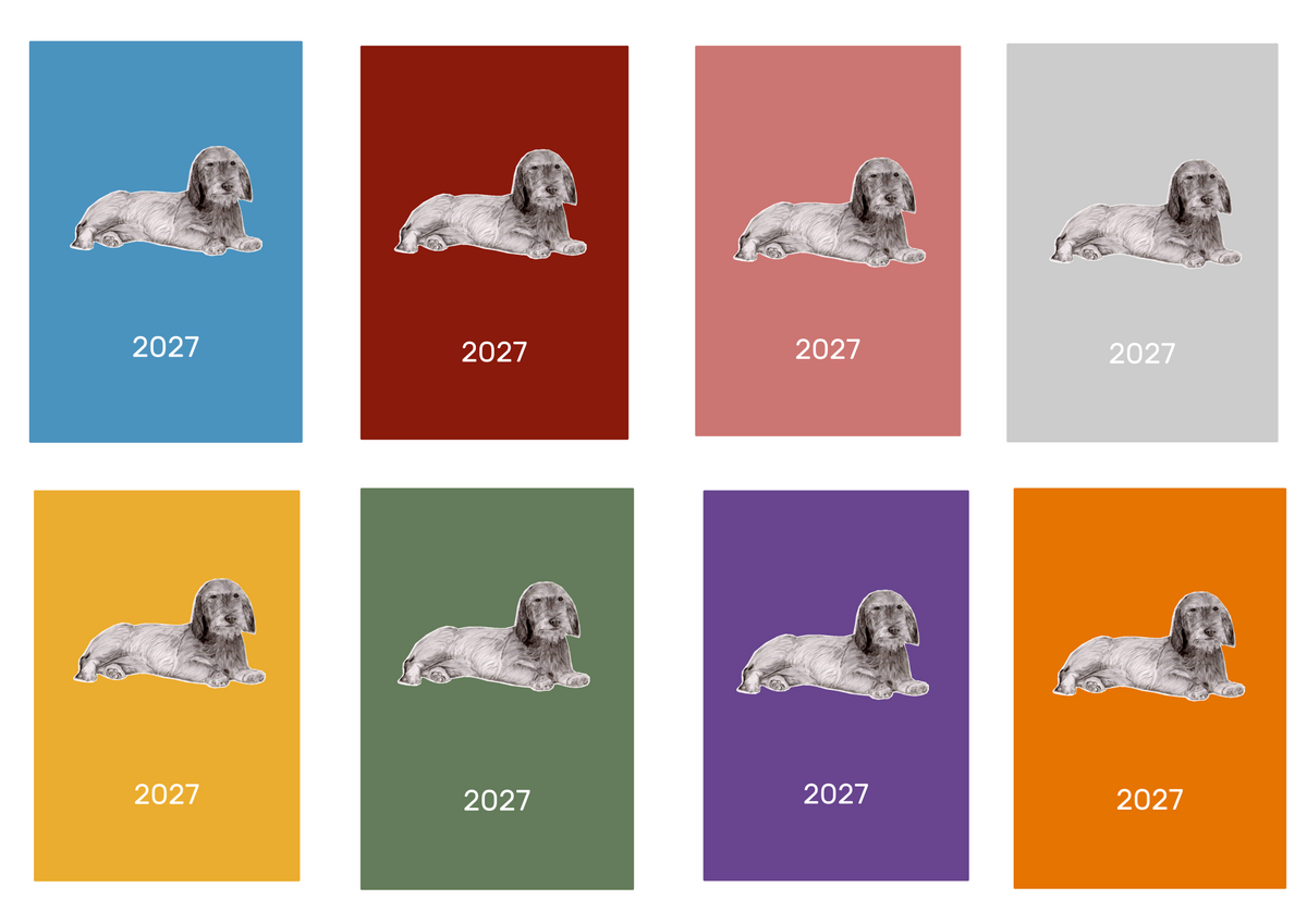 W/H Dachshund Week Per View 2027 Diary: A4, A5 or A6, Dog Show, Normal or Appointment