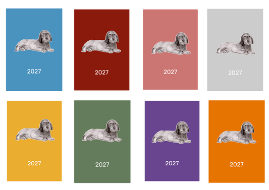 W/H Dachshund Week Per View 2027 Diary: A4, A5 or A6, Dog Show, Normal or Appointment