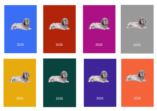 W/H Dachshund Week Per View 2026 Diary: A4, A5 or A6, Dog Show, Normal or Appointment