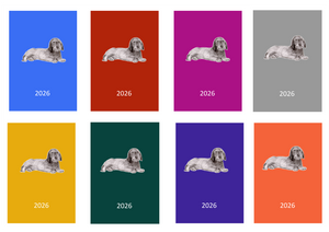 W/H Dachshund Week Per View 2026 Diary: A4, A5 or A6, Dog Show, Normal or Appointment