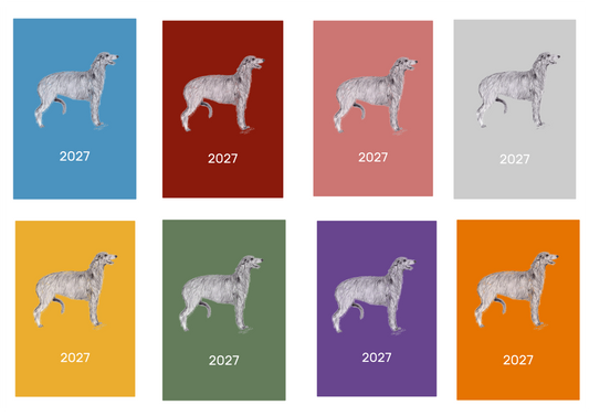 Deerhound Week Per View 2027 Diary: A4, A5 or A6, Dog Show, Normal or Appointment