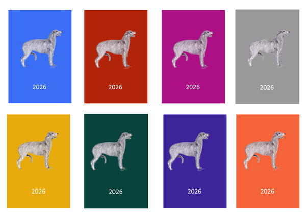 Deerhound Week Per View 2026 Diary: A4, A5 or A6, Dog Show, Normal or Appointment