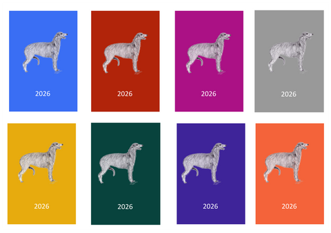Deerhound Week Per View 2026 Diary: A4, A5 or A6, Dog Show, Normal or Appointment
