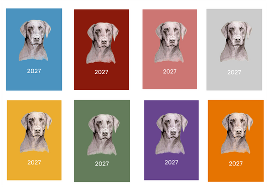 Dobermann Week Per View 2027 Diary: A4, A5 or A6, Dog Show, Normal or Appointment