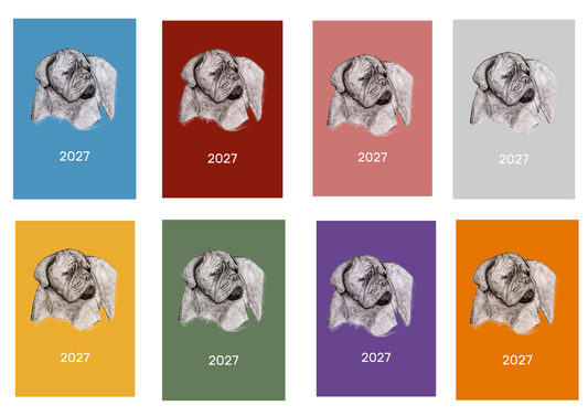 Dogue de Bordeaux Week Per View 2027 Diary: A4, A5 or A6, Dog Show, Normal or Appointment