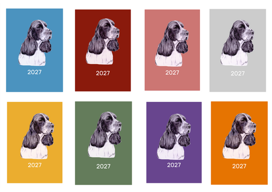 English Springer Spaniel Week Per View 2027 Diary: A4, A5 or A6, Dog Show, Normal or Appointment