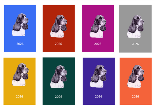 English Springer Spaniel Week Per View 2026 Diary: A4, A5 or A6, Dog Show, Normal or Appointment