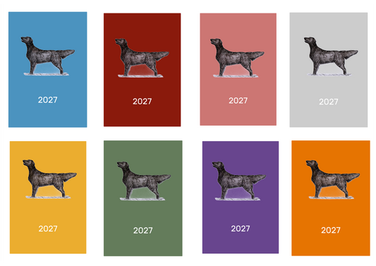Flatcoat Retriever Week Per View 2027 Diary: A4, A5 or A6, Dog Show, Normal or Appointment