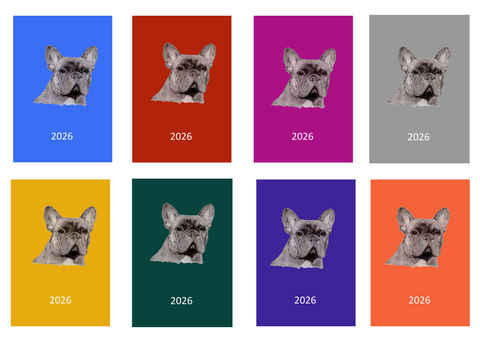 French Bulldog Week Per View 2026 Diary: A4, A5 or A6, Dog Show, Normal or Appointment