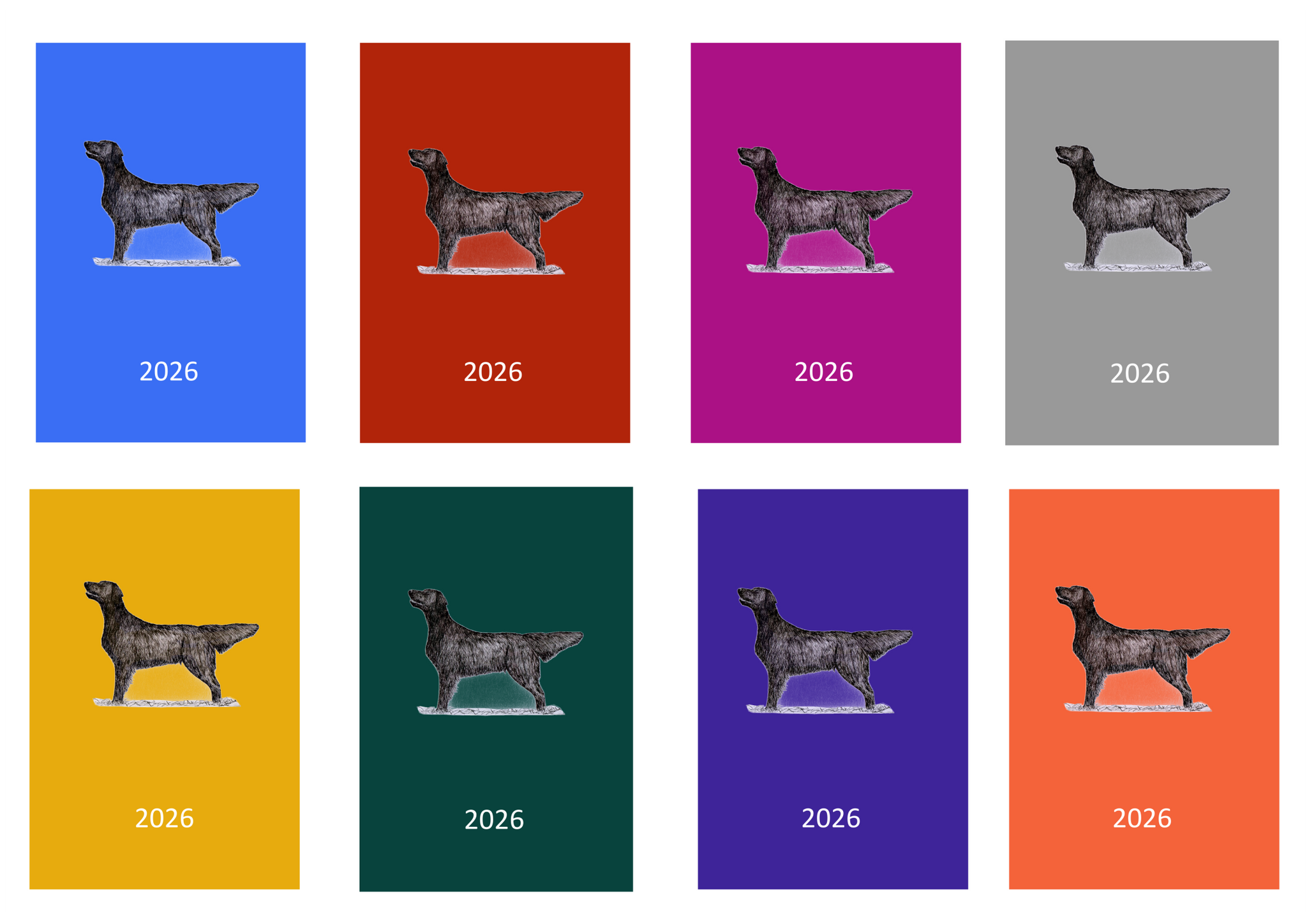 Flatcoat Retriever Week Per View 2026 Diary: A4, A5 or A6, Dog Show, Normal or Appointment