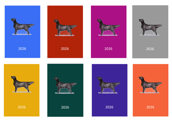 Flatcoat Retriever Week Per View 2026 Diary: A4, A5 or A6, Dog Show, Normal or Appointment