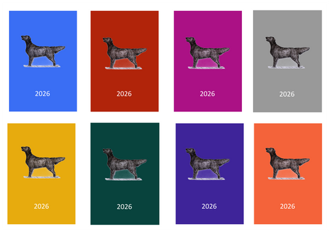 Flatcoat Retriever Week Per View 2026 Diary: A4, A5 or A6, Dog Show, Normal or Appointment