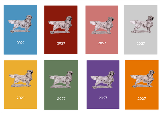 Golden Retriever Week Per View 2027 Diary: A4, A5 or A6, Dog Show, Normal or Appointment