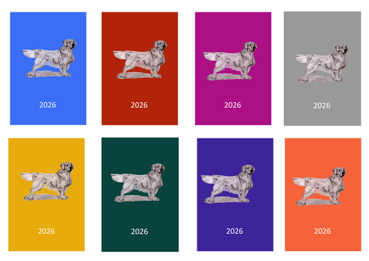 Golden Retriever Week Per View 2026 Diary: A4, A5 or A6, Dog Show, Normal or Appointment