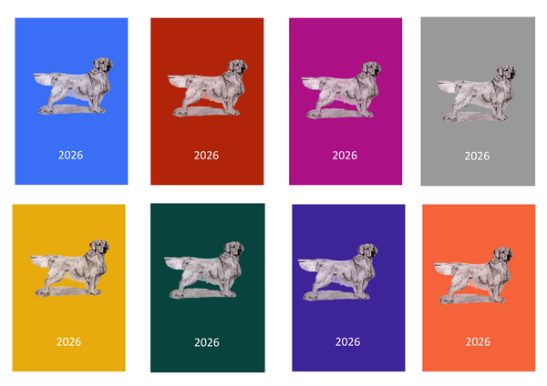 Golden Retriever Week Per View 2026 Diary: A4, A5 or A6, Dog Show, Normal or Appointment