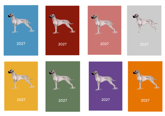 Great Dane Week Per View 2027 Diary: A4, A5 or A6, Dog Show, Normal or Appointment