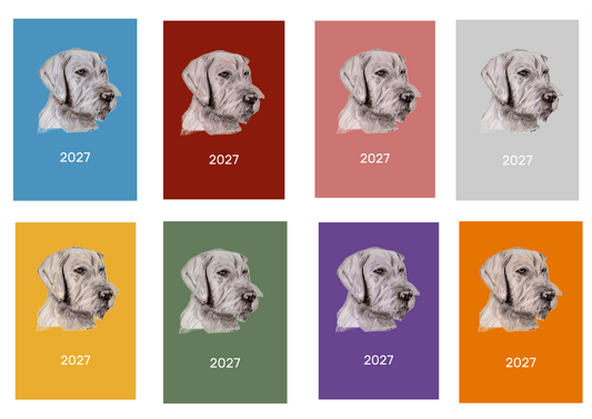 Hungarian W/H Vizsla Week Per View 2027 Diary: A4, A5 or A6, Dog Show, Normal or Appointment
