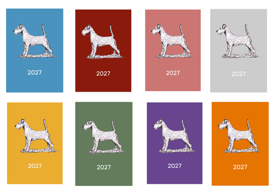 Irish Terrier Week Per View 2027 Diary: A4, A5 or A6, Dog Show, Normal or Appointment