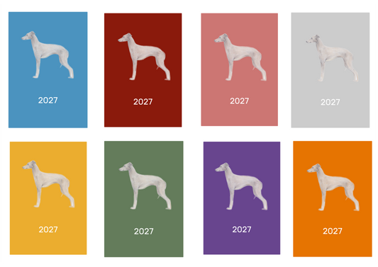 Italian Greyhound Week Per View 2027 Diary: A4, A5 or A6, Dog Show, Normal or Appointment