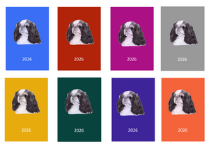 King Charles Spaniel Week Per View 2026 Diary: A4, A5 or A6, Dog Show, Normal or Appointment