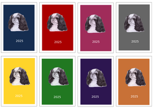 King Charles Spaniel Week Per View Diary: A4, A5 or A6, Dog Show, Normal or Appointment