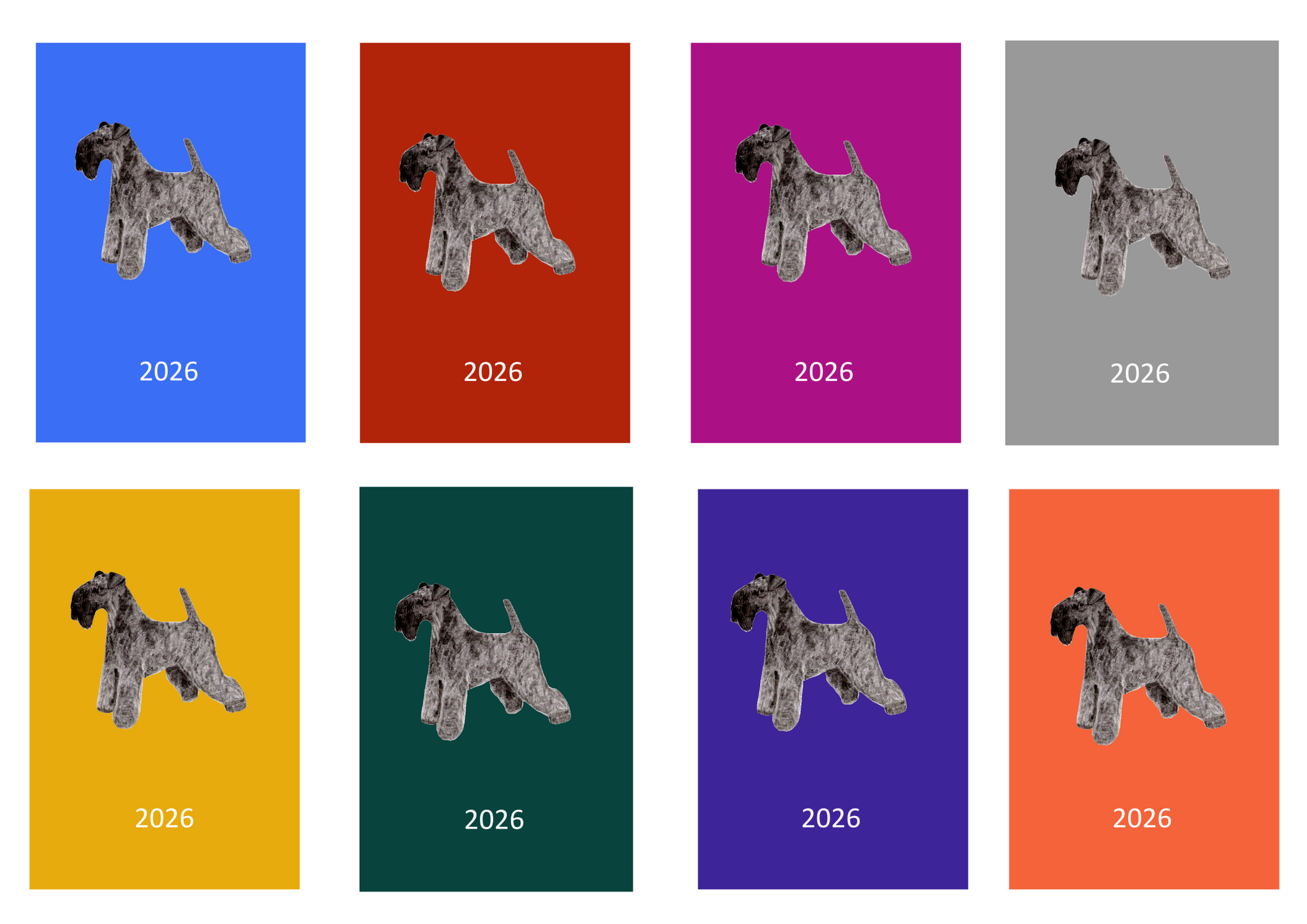 Kerry Blue Terrier Week Per View 2026 Diary: A4, A5 or A6, Dog Show, Normal or Appointment