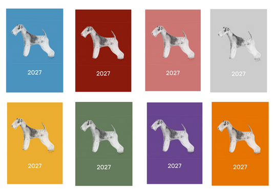 Lakeland Terrier Week Per View 2027 Diary: A4, A5 or A6, Dog Show, Normal or Appointment