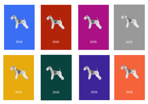 Lakeland Terrier Week Per View 2026 Diary: A4, A5 or A6, Dog Show, Normal or Appointment