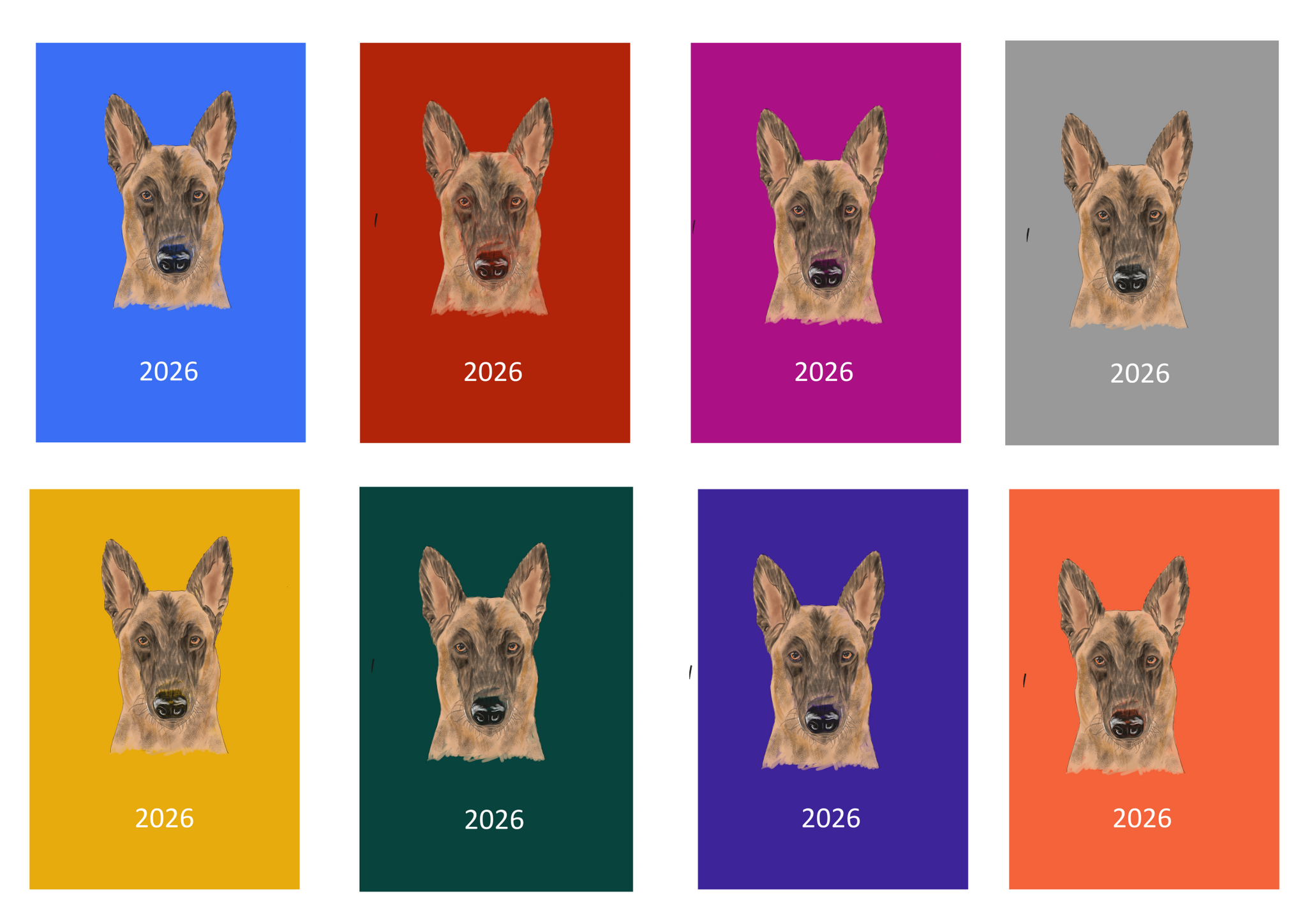 Belgian Shepherd Dog (Malinois) Week Per View 2026 Diary: A4, A5 or A6, Dog Show, Normal or Appointment