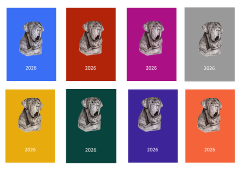 Neapolitan Mastiff Week Per View 2026 Diary: A4, A5 or A6, Dog Show, Normal or Appointment