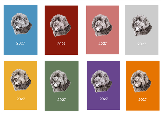 Newfoundland Week Per View 2027 Diary: A4, A5 or A6, Dog Show, Normal or Appointment
