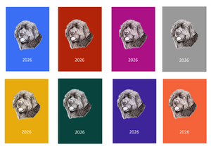 Newfoundland Week Per View 2026 Diary: A4, A5 or A6, Dog Show, Normal or Appointment