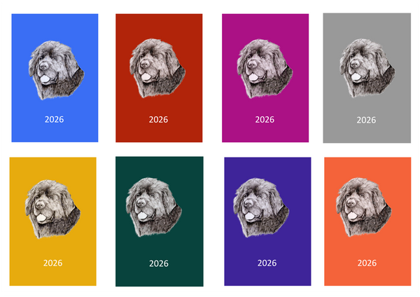 Newfoundland Week Per View 2026 Diary: A4, A5 or A6, Dog Show, Normal or Appointment