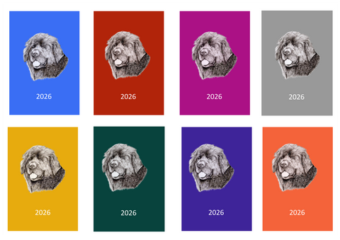 Newfoundland Week Per View 2026 Diary: A4, A5 or A6, Dog Show, Normal or Appointment